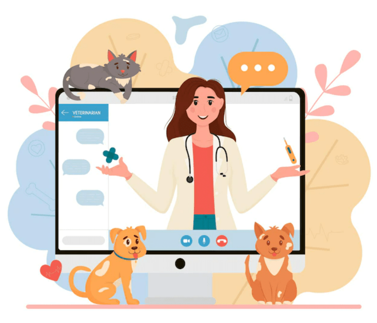 online vet consultation