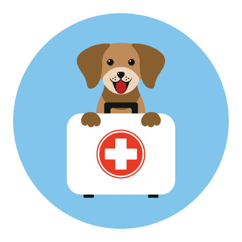 First Aid and Emergency Care