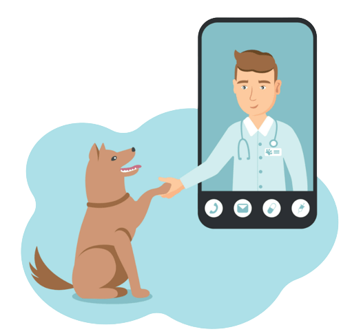 Online Vet Consultation