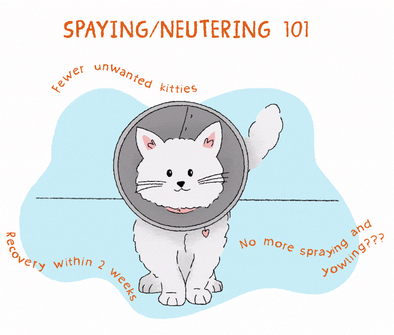 neutering cat