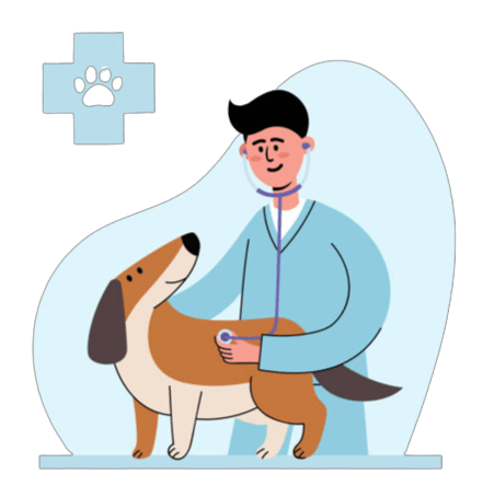 Doorstep Veterinary Care